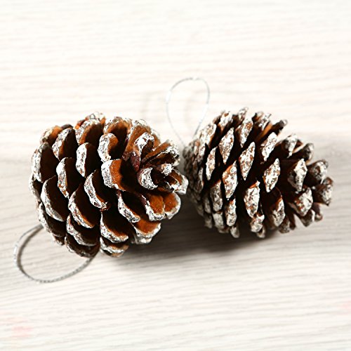 Coobey 24 Pieces Christmas Pine Cones Ornament Natural PineCones With String Pendant Crafts for Gift Tag Christmas Tree Party Hanging Decoration (Snow)