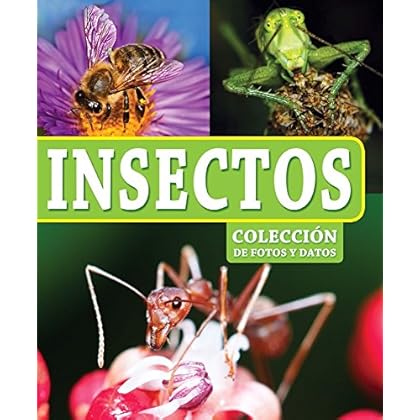 Insectos (Colección de fotos y datos) Insectos (Colección de fotos y datos)
