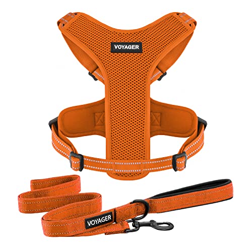 Air Frontier Mesh Dog Harness with and Reflective Dog Leash Set