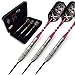 CUESOUL Tungsten Steel Tip Darts- Precise Barrels 24 Grams 90% Tungsten with Luxury Case