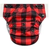 HappyEndings Toddler/Kid Pull On Reusable Cloth Diapers/Training Pants Special Needs Incontinence (Buffalo Plaid, Large (Fits 45-65 Pounds))
