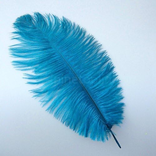 blue - 10pcs/Lot Natural Ostrich Feathers for Embelishment Craft DIY 8-10inch /20-25 cm