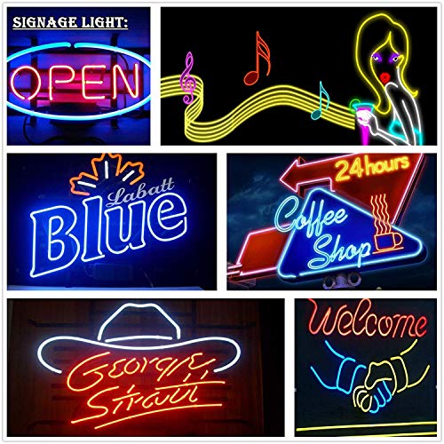 LED NEON Light, IEKOVTM AC 110-120V Flexible LED Neon Strip Lights, 120 LEDs/M, Dimmable, Waterproof 2835 SMD LED Rope Light + Remote Controller for Home Decoration (65.6ft/20m, Blue)