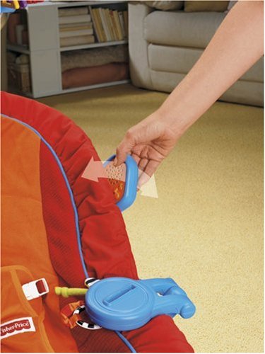 fisher price sensory selections bouncer