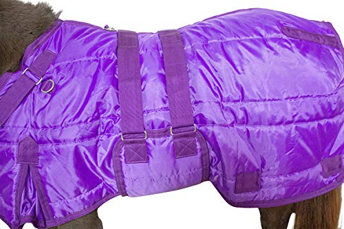 2 Derby+Originals+Windstorm+Breathable+Exterior
