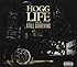 Hogg Life: 2 Still Surviving
