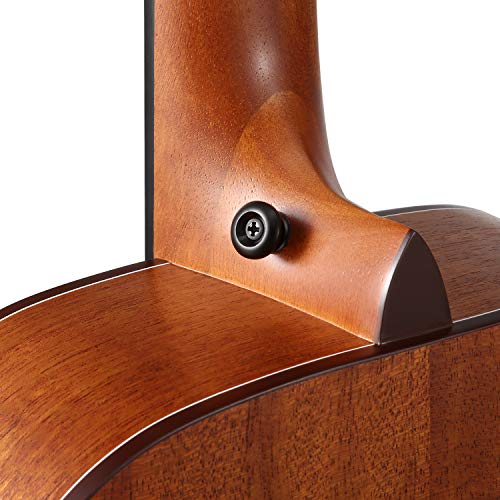 2 Donner+Dreadnought+Acoustic+Package+Beginner