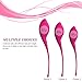 Utimi Ben Wa Balls Kegel Ball Exercise Weight Kit Bladder Control Device, 3pcs