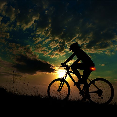 image for Chaunts Bike Seat Cushion with Led Tail Light, Breathable and Anti-sho