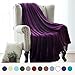 Bedsure GentleSoft Fleece Blanket Twin Size Purple - 300GSM Lightweight Plush Fuzzy Cozy Soft Warm Blanket for Bed, Sofa, Couch, Travel, Camping, 60x80 inches