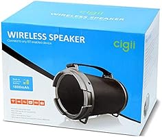 cigii speaker price