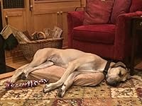 Review Image by Amazon Prime is my middle name(s)