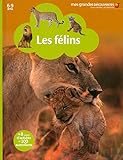 Les félins by 