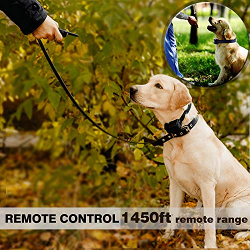 Gtpeak Bark Collar Dog Training Collars[2018 New] for Small Medium Large Breed with 3 Attention-Generating Tactic, Waterproof/Remote/Rechargeable/Harmless E Trainer