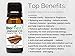 Biofinest Sandalwood Essential Oil - 100% Pure Undiluted - Premium Organic - Therapeutic Grade - Aromatherapy - Clarity/Calmness - Meditation and Prayer - FREE E-Book (10ml)