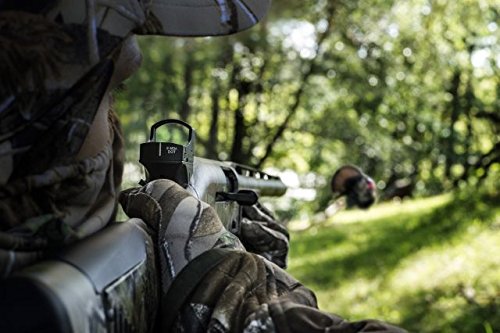 Burris SpeedBead Mounting System with Fastfire 3 Shotgun Sight, Benelli Super Black Eagle II