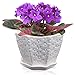 MyGift Decorative Woven Design Star Shaped White Ceramic Flower Plant Pot/Succulent Display Planter Container