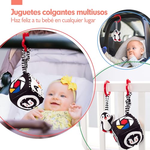hahaland Baby Toys 0-3 Months - Black and White Sensory Toys for Babies 0 3 6 Months, Tummy Time Stimulation Games Gifts Baby 0-6 Months 30 Pieces Set