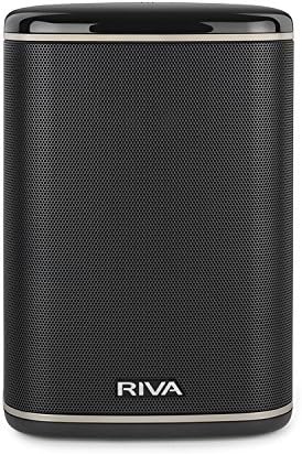 riva concert google assistant