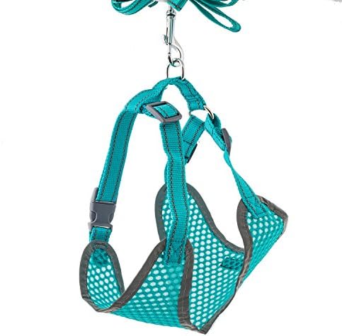2PET Reflective Adjustable Soft Mesh Pet Dog Harness &amp; Leash - Used for High Visibility While Walking - Protects Pets From Cars &amp; Accidents Small Electric Green