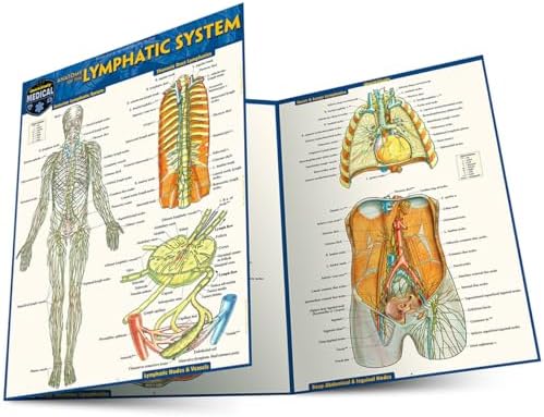 Anatomy of the Nervous System: a QuickStudy Laminated Reference