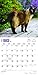 Siamese Cats 2016 Calendar