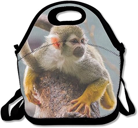 Golden Monkey Cute Lunch Bag Insulated Lunch Tote Bags Bento Cooler Bag