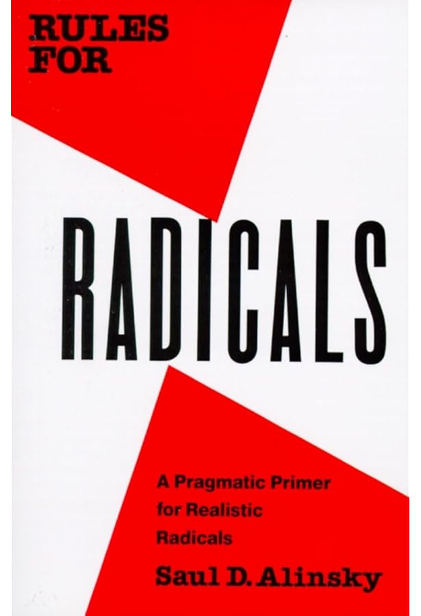 Practical Radicals: Seven Strategies to Change the World: Bhargava