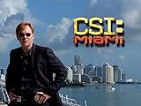 CSI: Miami, Season 2