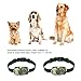 POP VIEW Bark Collar [New Version] Humanely Stops Barking with Sound & Vibration. No Shock, Harmless & Humane, Silver, Small/Medium/Large
