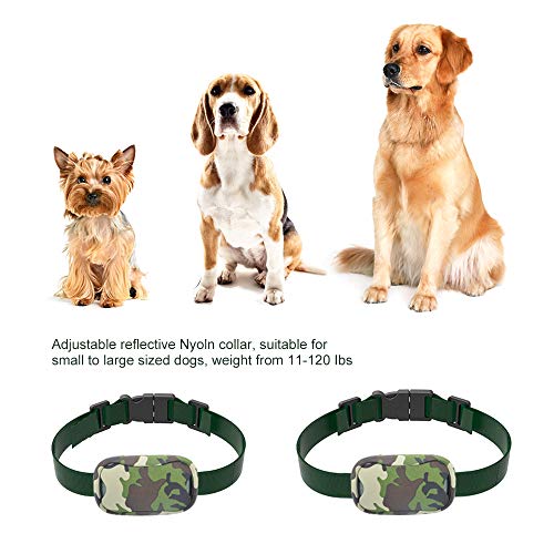 pop view dog collar