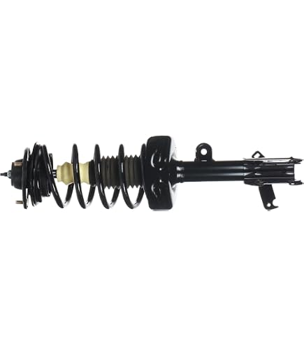 Amazon.com: Monroe Quick-Strut 172541 Suspension Strut and Coil