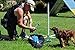 Triple A Dogs Combo 1 Dog Agility Jump/6 Dog Agility Weave Poles Buy Combo and Save, Dog Training, Dog Jumps, Dog Hurdles, Agility Equipment,
