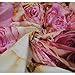 WOLADA Flower Wall Backdrop Floral Back Drop Rose Banner Mothers Day Backdrops for Photography 8x8FT 9604