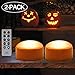 HOME MOST 2-Pack Halloween Pumpkin Lights with Remote/Timer - Orange Pumpkin Lights LED Battery Operated Halloween Decor - Jack-O-Lantern Outdoor Decorations