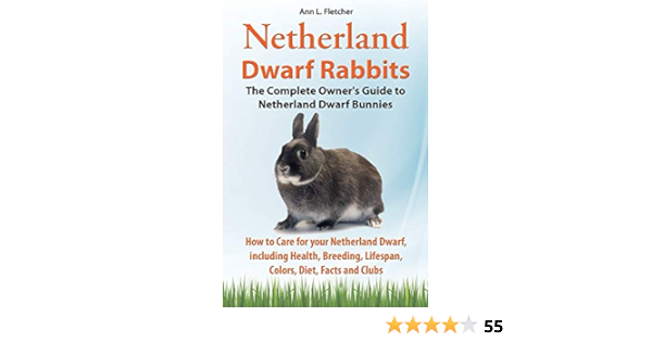 dwarf bunny diet