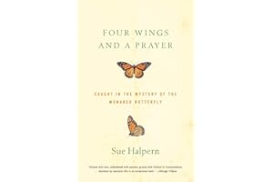 Four Wings and a Prayer: Caught in the Mystery of the Monarch