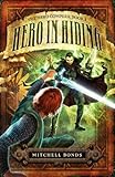 Hero in Hiding (Hero Complex) by 