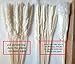 DongArts Natural Dried Pampas Grass, Phragmites Communis,Wedding Flower Bunch, 23” Tall for Home Decor (White)