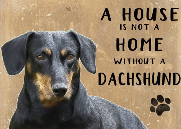Small (150 x 200mm) Metal Sign - A House is Not a Home - Dachshund