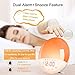 Wake Up Light Alarm Clock, Sunrise Alarm Clock with Sunset Simulation, Dual Alarms Snooze Function, 7 Colors Bedside Night Lamp,8 Natural Sounds&Voice Recorder,USB Charger and FM Radio,Ideal for Gift