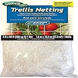 Dalen Products P TP-60 Trellis, 60 ft