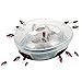 Roach Trap, Cockroach Trap, Cockroach Killer, Roach Killer, Roach Holder, Reusable, Non-Toxic and Eco-Friendly