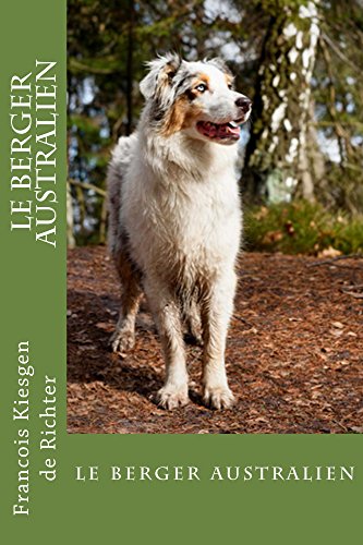 Le Berger Australien Le Berger Australien Chien De Race T