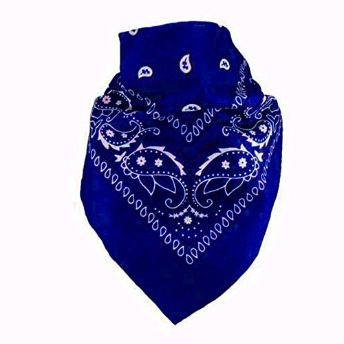 6 Color Pack Double Sided Print - Pack Of 6 Assorted Color Classic Paisley Bandanas