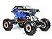 Rockslide RS10 Xt 1/10 Scale Crawler (Black/Blue)