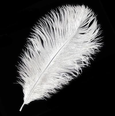 Gregory Crafts & Gifts White Ostrich Feathers 2pk (6-7 inch) Crafts Sewing