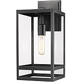 Z-Lite 596M-BK Nuri Outdoor Wall Sconce, 1-Light 100 Watts, Black
