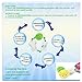 Magic Laundry Ball - Eco Friendly and Chemical Free Washer Laundry Balls from All Natural Alternative Laundry Detergent for up to 1000 Washings (Set of 4)
