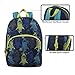 Super Popular Printed Backpack for Travel and Outdoors! (Blue Shark)